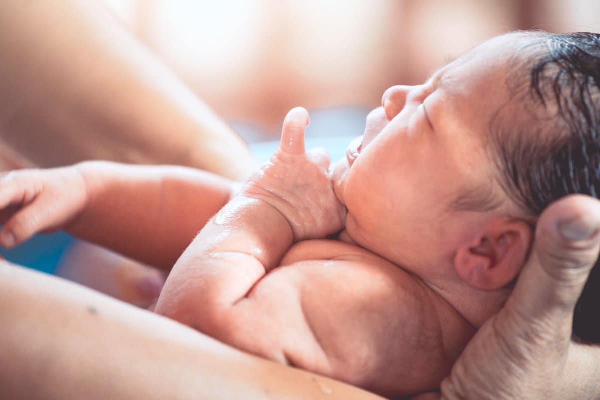 What Are Brachial Plexus Injuries? 2026 Guide for Parents